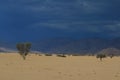 Namibian landscape