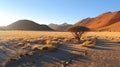 Namibian landscape with acacia tree in Namib desert