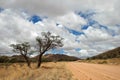 Namibian Road Royalty Free Stock Photo