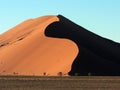 Namibian Sand Dune