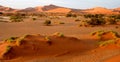 Namibian sand dunes