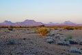 Namibian sand dunes at sunset