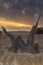 Namibian sunset Royalty Free Stock Photo