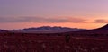 NamibRand Sunset - Namibia Royalty Free Stock Photo