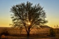NamibRand Sunset - Namibia Royalty Free Stock Photo