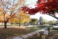 Namiseom island in autumn