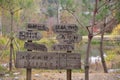 Namisum Island Korea Wooden road direction