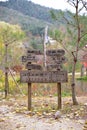 Namisum Island Korea Wooden road direction