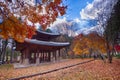 Namisum Island traditional temple Korea