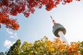 Namsan Seoul Tower with autumn maple leaves in Korea Royalty Free Stock Photo