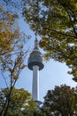 Namsan Seoul tower landmark at fall