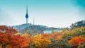 Namsan Seoul Tower with autumn maple trees in Korea Royalty Free Stock Photo