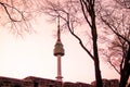 Namsan Tower Seoul, Korea - N Tower Royalty Free Stock Photo