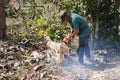 A lumberjack uses a chainsaw to cut down trees