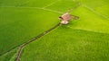 Nan, Thailand, Small hut in green rice terrace near stream. Village in valley with fog and mist.