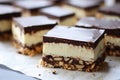 Nanaimo Bars: No-Bake Dessert with Crumb Base, Custard Butter Icing, and Chocolate Royalty Free Stock Photo