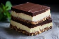 Nanaimo Bars: No-Bake Dessert with Crumb Base, Custard Butter Icing, and Chocolate Royalty Free Stock Photo