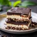 Nanaimo Bars: No-Bake Dessert with Crumb Base, Custard Butter Icing, and Chocolate Royalty Free Stock Photo