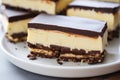 Nanaimo Bars: No-Bake Dessert with Crumb Base, Custard Butter Icing, and Chocolate Royalty Free Stock Photo