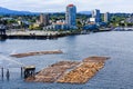 Nanaimo BC with Logging Royalty Free Stock Photo