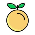 Nance fruit with green leaves isolated icon vector illustration graphic design Royalty Free Stock Photo