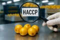 Nance HACCP Inspection Process on Stainless Steel Table with Certified Hygiene Controls and Visual Traceability in Tropical Fruit Royalty Free Stock Photo