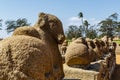 Nandi statue at the Shore Temple complex in Mamallapuram, Tamil Nadu, South India Royalty Free Stock Photo