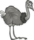 Nandu ostrich bird cartoon illustration Royalty Free Stock Photo