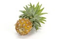 Nang Lae Pineapple