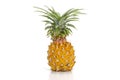 Nang Lae Pineapple