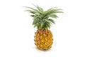 Nang Lae Pineapple