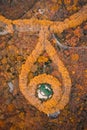 Aerial shot of the Meiling Palace surrounded by yellowing trees in autumn in Nanjing, China