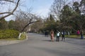 Nanjing Forestry University campus