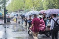 A rain in the morning, people going to work crossed the intersection with an umbrella