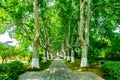 China Nanjing Ming Xiaoling Mausoleum 12 Royalty Free Stock Photo