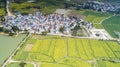 Nanjing yaxi international slow city canola pastoral scenery agricultural