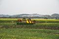 Nanjing yaxi international slow city canola pastoral scenery agricultural