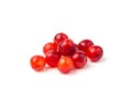 Nanking or felted cherry fruits, isolated on  white background Royalty Free Stock Photo