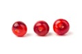 Nanking or felted cherry fruits, isolated on  white background Royalty Free Stock Photo