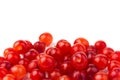 Nanking or felted cherry fruits, isolated on  white background Royalty Free Stock Photo