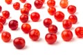 Nanking or felted cherry fruits, isolated on  white background Royalty Free Stock Photo