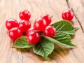 Nanking or felted cherry ftuits with leaves.