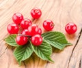 Nanking or felted cherry ftuits with leaves.