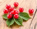 Nanking or felted cherry ftuits with leaves.