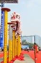 nanning, China October 22, 2011 : a dazzling show of white lions dancing on a pole in front of the audience