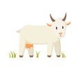 Nanny Goat Standing on Grass Cartoon Character Royalty Free Stock Photo