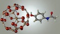Nano-Cages bonding with paracetamol molecules