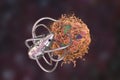 Nanobot attacking cancer cell