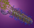 Nanomedicine inside of closed single layer carbon nanotube release nanodrugs