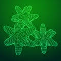 Bacteria virus wireframe mesh